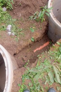 kopka-kolodcev-vol-2 1